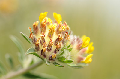 BUITEN BEELD Foto: 171359