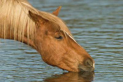 BUITEN BEELD Foto: 171384