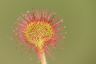 BUITEN BEELD Foto: 171401
