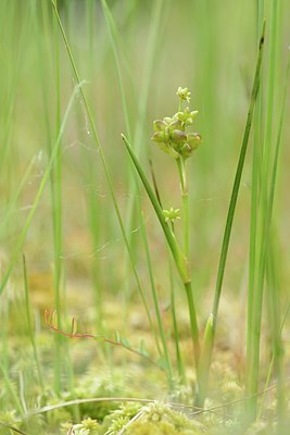 BUITEN BEELD Foto: 171402