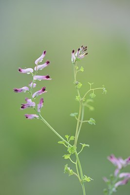 BUITEN BEELD Foto: 171427