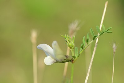 BUITEN BEELD Foto: 171431