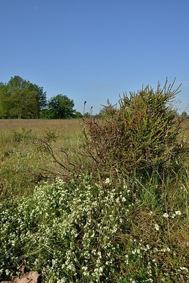 BUITEN BEELD Foto: 171433