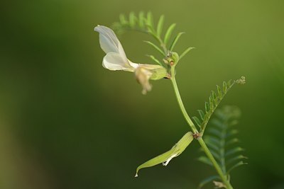 BUITEN BEELD Foto: 171434