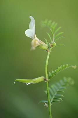 BUITEN BEELD Foto: 171436