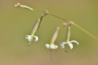 BUITEN BEELD Foto: 171442