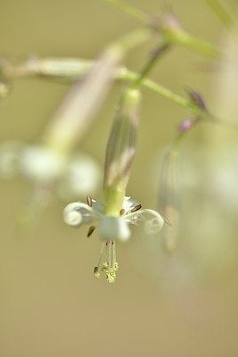 BUITEN BEELD Foto: 171446