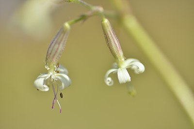 BUITEN BEELD Foto: 171448