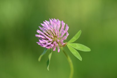 BUITEN BEELD Foto: 171449