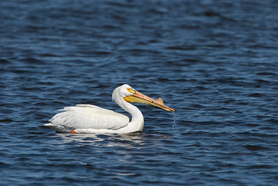 BUITEN BEELD Foto: 171463