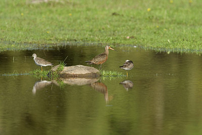 BUITEN BEELD Foto: 171469