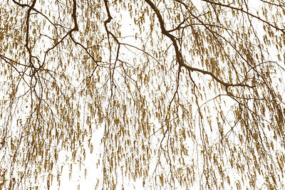 BUITEN BEELD Foto: 171495