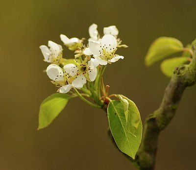 BUITEN BEELD Foto: 171515