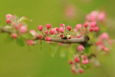 BUITEN BEELD Foto: 171516