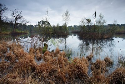 BUITEN BEELD Foto: 171523