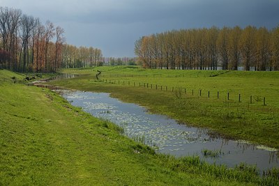 BUITEN BEELD Foto: 171524