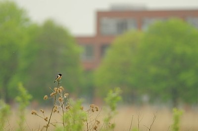 BUITEN BEELD Foto: 171550