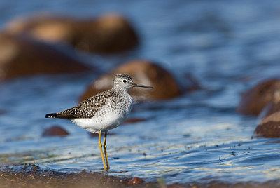 BUITEN BEELD Foto: 171552