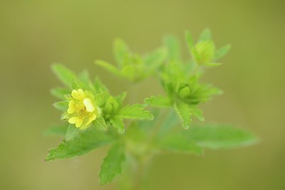 BUITEN BEELD Foto: 171561