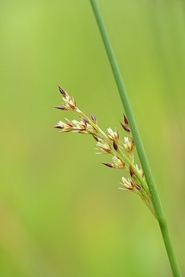 BUITEN BEELD Foto: 171567