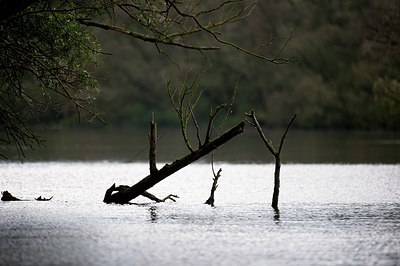 BUITEN BEELD Foto: 171592