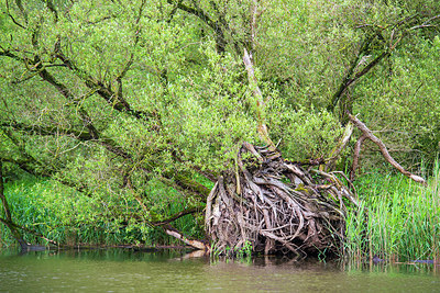 BUITEN BEELD Foto: 171598