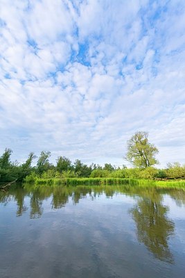 BUITEN BEELD Foto: 171604