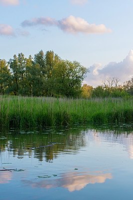 BUITEN BEELD Foto: 171611