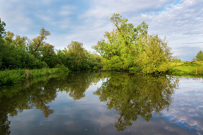 BUITEN BEELD Foto: 171615