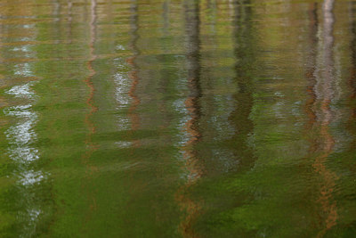 BUITEN BEELD Foto: 171656