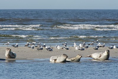 BUITEN BEELD Foto: 171667