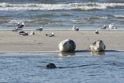 BUITEN BEELD Foto: 171669