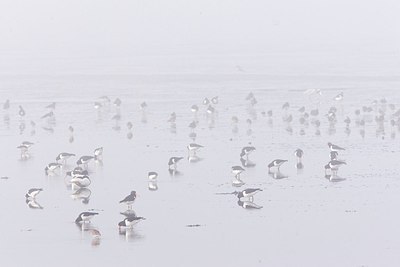 BUITEN BEELD Foto: 171678