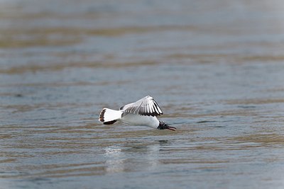 BUITEN BEELD Foto: 171698