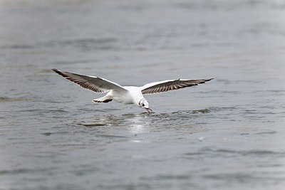 BUITEN BEELD Foto: 171703