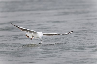 BUITEN BEELD Foto: 171705