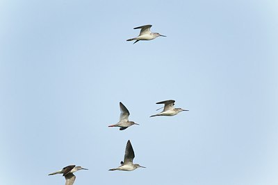 BUITEN BEELD Foto: 171716