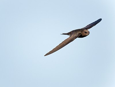 BUITEN BEELD Foto: 171720