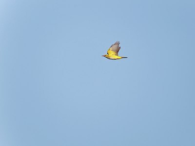 BUITEN BEELD Foto: 171726