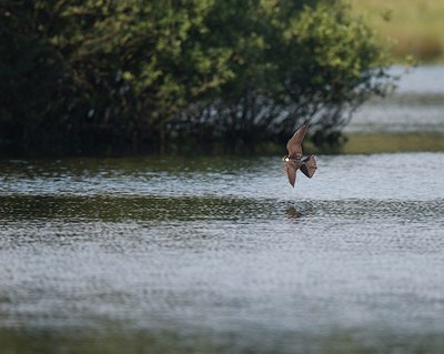 BUITEN BEELD Foto: 171734