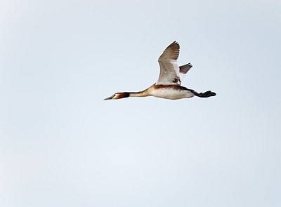 BUITEN BEELD Foto: 171794