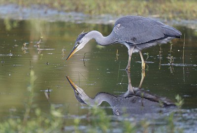 BUITEN BEELD Foto: 171802