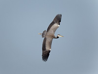 BUITEN BEELD Foto: 171809