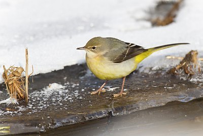 BUITEN BEELD Foto: 171823