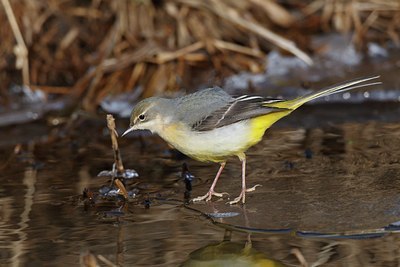 BUITEN BEELD Foto: 171824