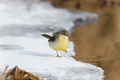 BUITEN BEELD Foto: 171825