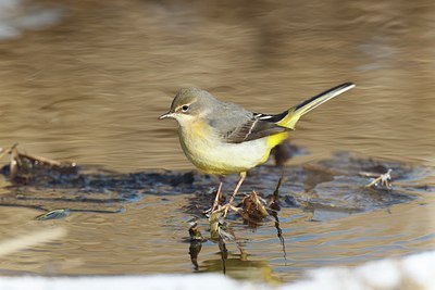 BUITEN BEELD Foto: 171834