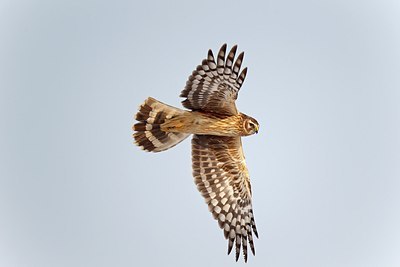 BUITEN BEELD Foto: 171840