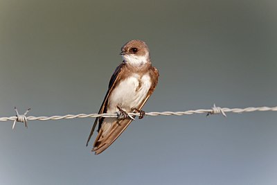 BUITEN BEELD Foto: 171871