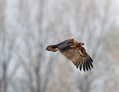 BUITEN BEELD Foto: 171924